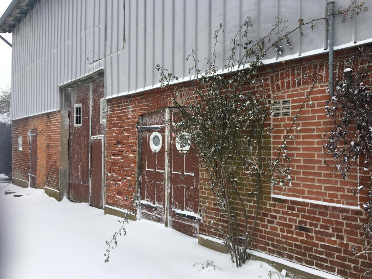 Ferienhof Schulz Brodersby  ภายนอก รูปภาพ