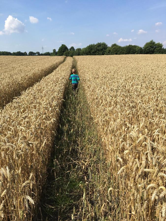 Ferienhof Schulz Brodersby  ภายนอก รูปภาพ